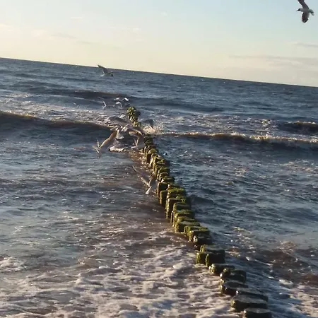 Limonkowy Podczele Kołobrzeg