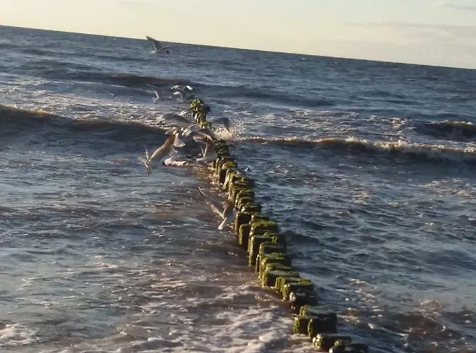 Limonkowy Podczele 코워브제크