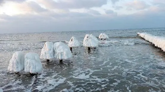 Limonkowy Podczele 아파트 *